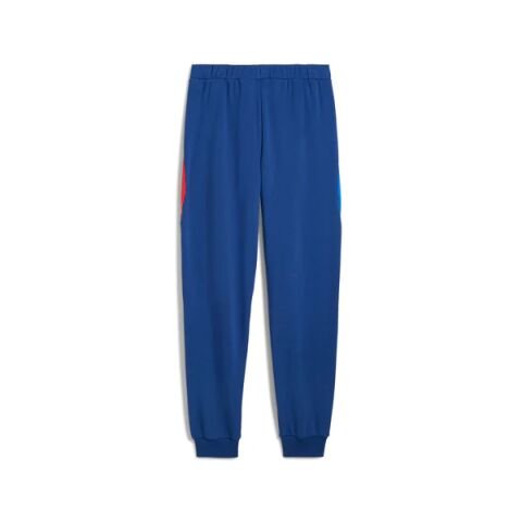 PUMA BMW MMS SWEAT PANTS REG/CC ERKEK SWEAT PANT 63061704