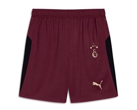 PUMA GSK Shorts Replica w/b w/oSp ERKEK SORT 77982303