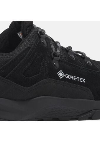 TİMBERLAND Lincoln Peak LOW LACE UP GTX HIKING BOOT AYAKKABI TB0A2MMYEAD1